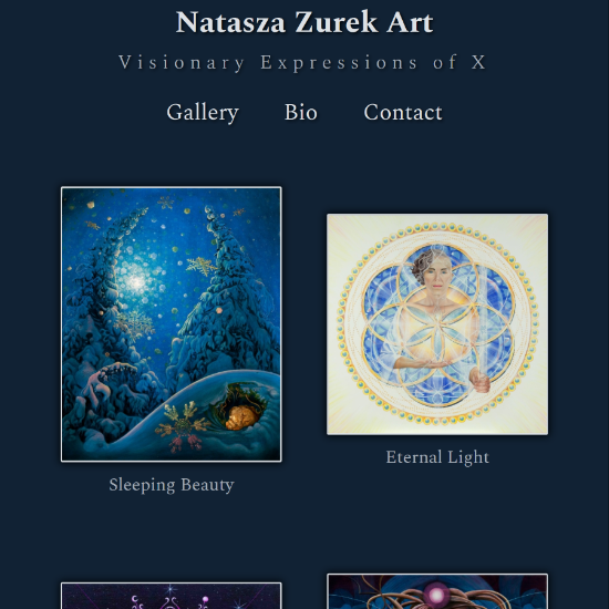 Sample screenshot of Natasza Zurek Art website